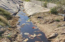 你對午夜理论视频网站滲濾液還存在怎樣的誤區？